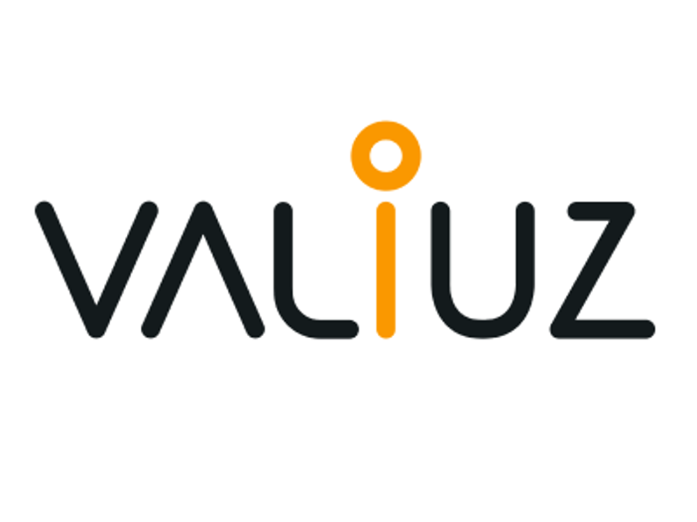 Logo valiuz