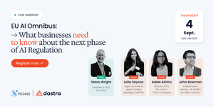 EU AI Omnibus: What Businesses Need to Know About the Next Phase of AI Regulation