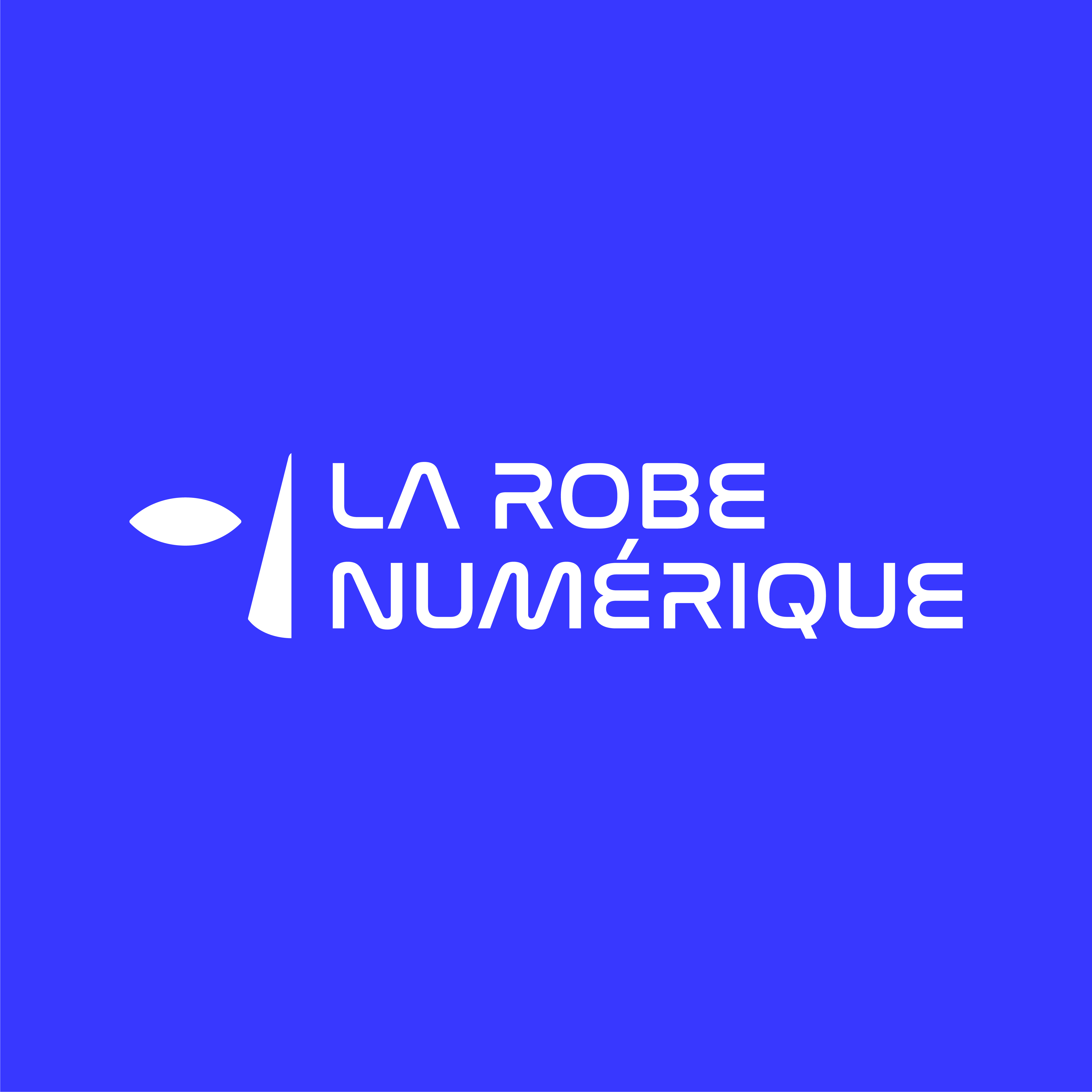 Logo LA ROBE NUMÉRIQUE