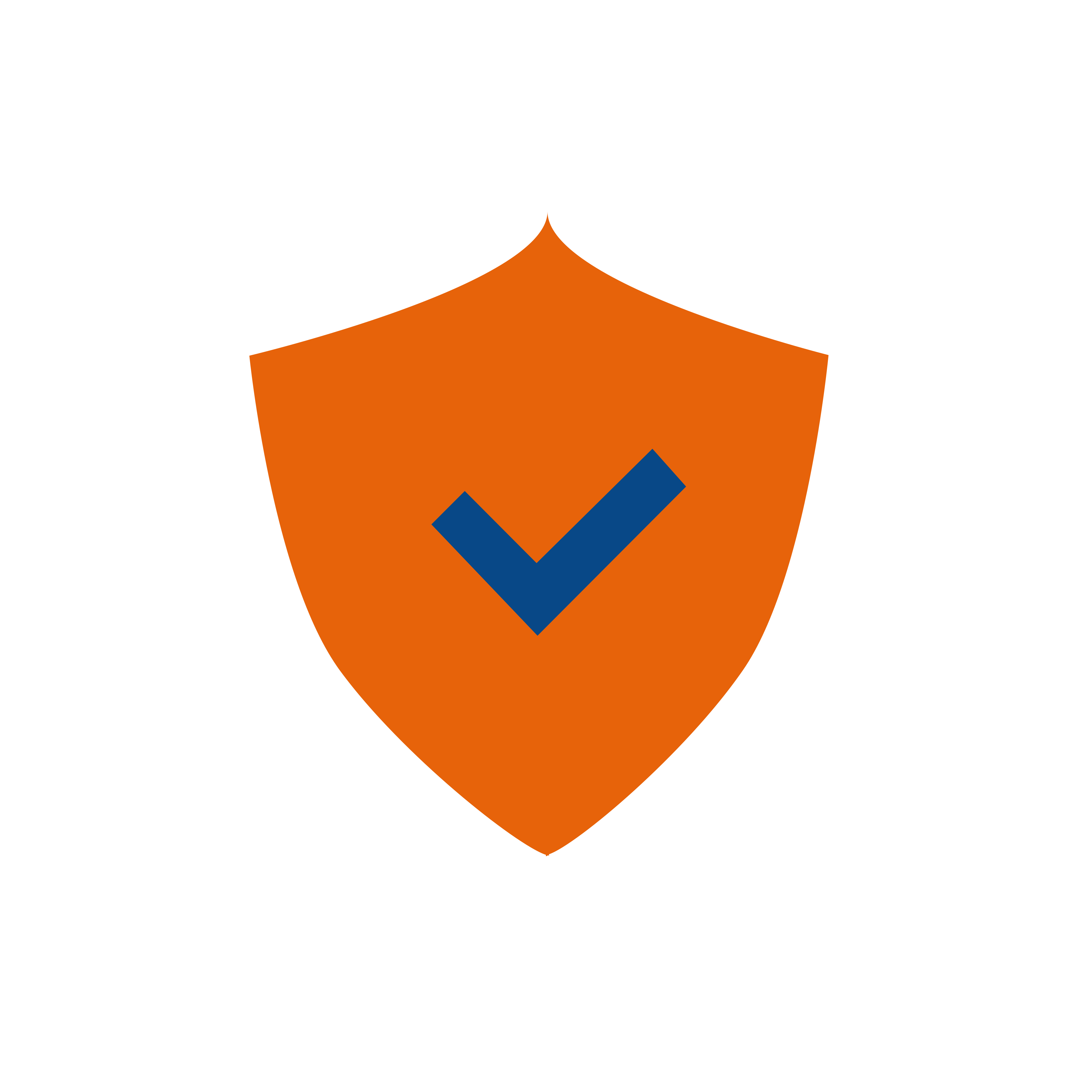 Single sign-on (SSO)